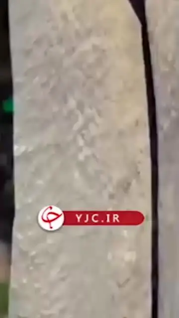 شركت،واحد،اتوبوسي