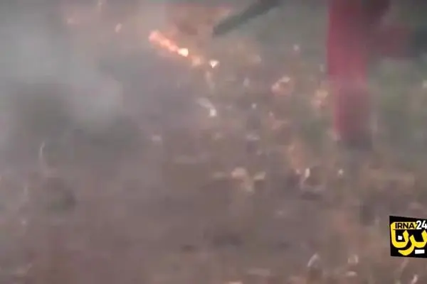 ببینید| آتش‌سوزی گسترده جنگل‌های گلستان ادامه دارد