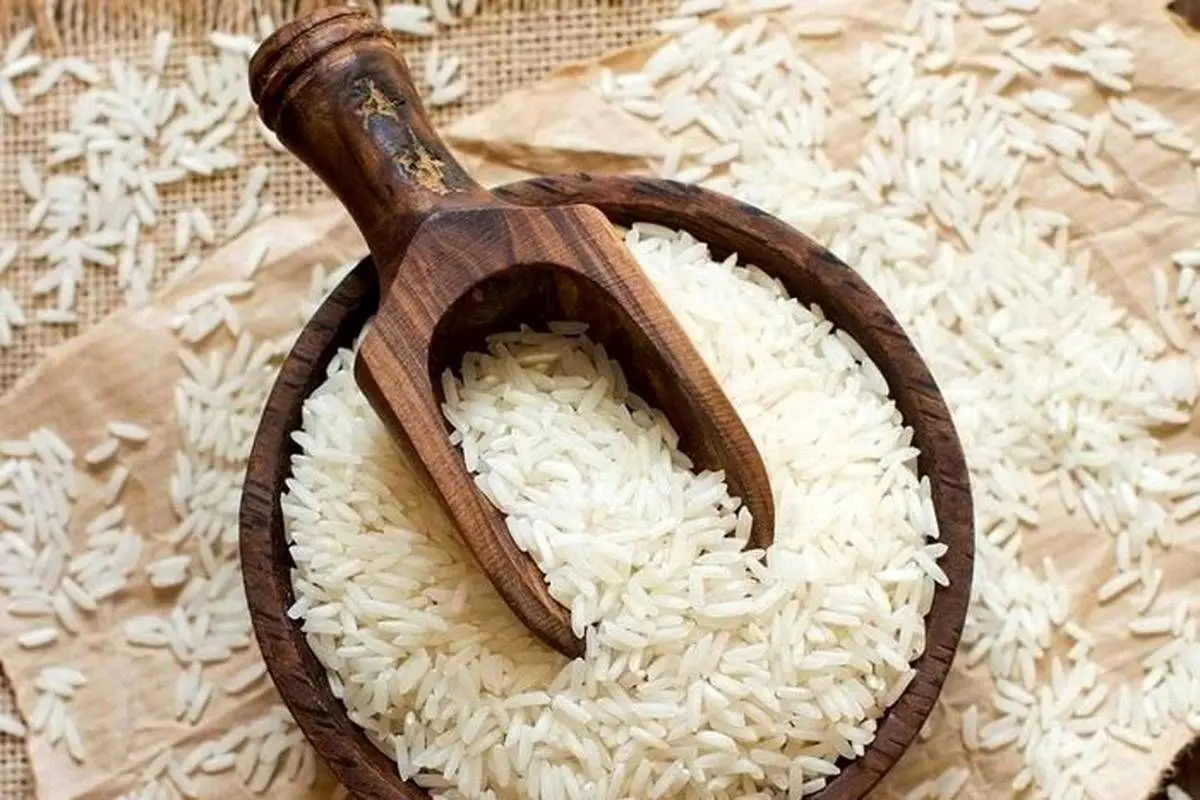 انتقاد سخنگوی اتحادیه بنکداران مواد غذایی از فروش برنج پاکستانی به نام برنج ایرانی