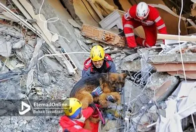زلزله ترکیه - نجات
