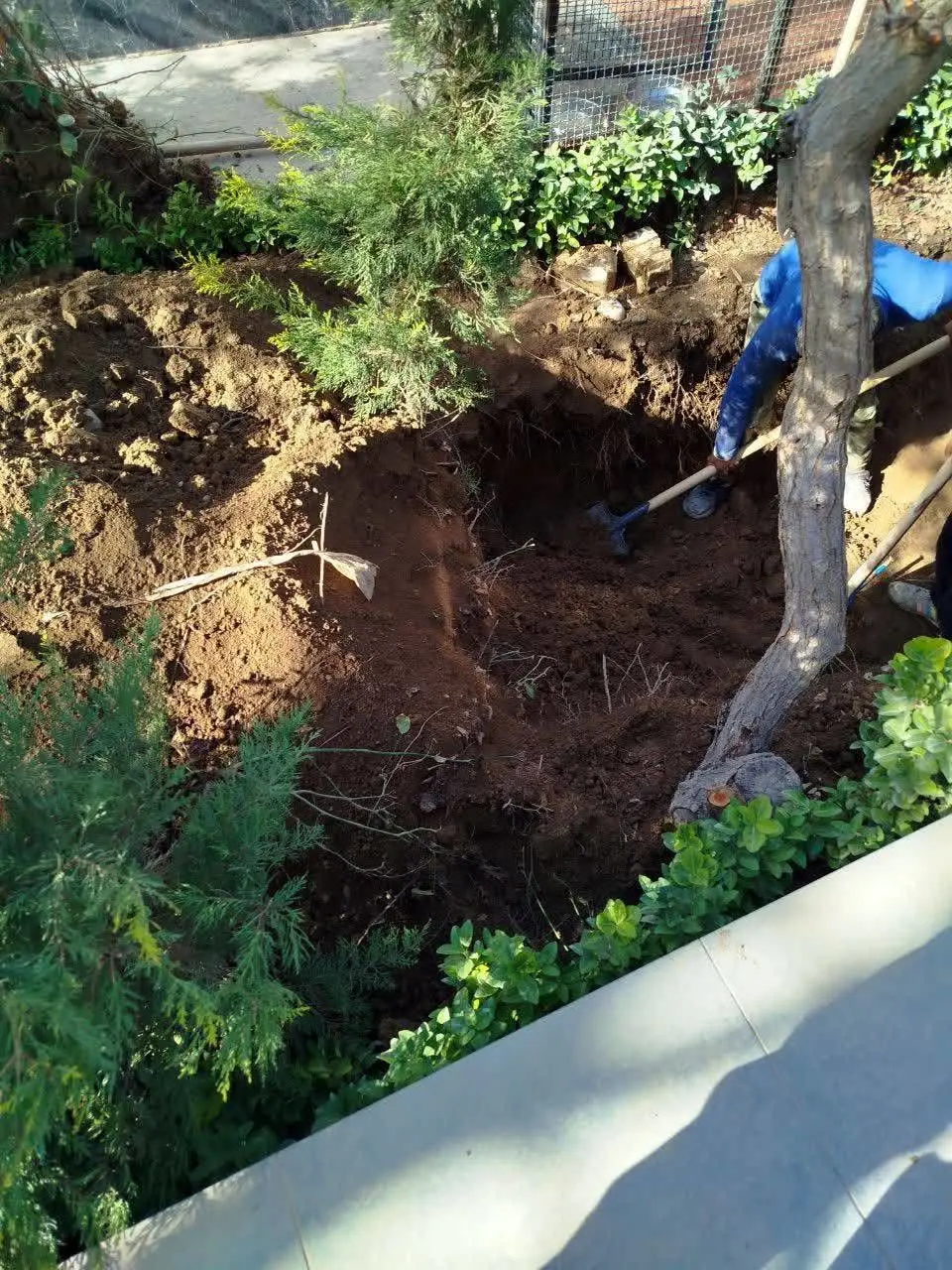 پليس،تهران،جسد،آگاهي،رئيس،قرار،دفن،مقتول،مردي،همسر،كشف،قتل،ب ...