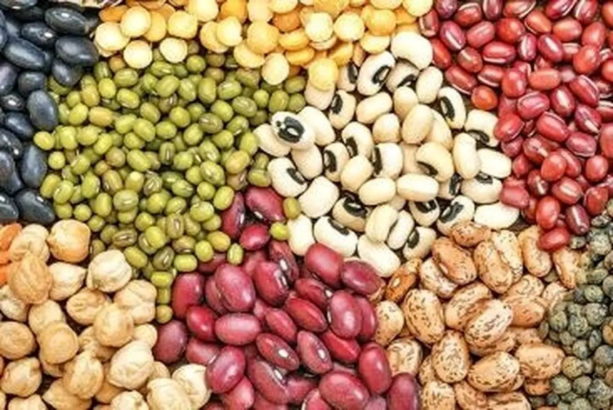  قیمت حبوبات در ماه رمضان افزایش یافته است
