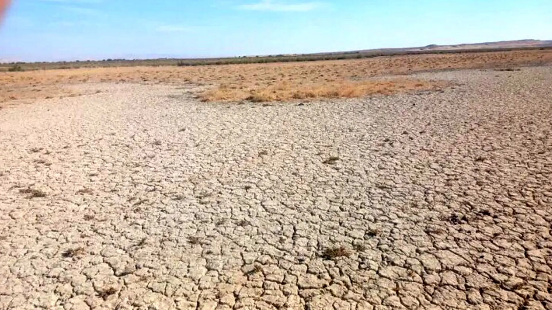 تالاب،زيستي،آب،حقابه،شور،فريدي،ورامين