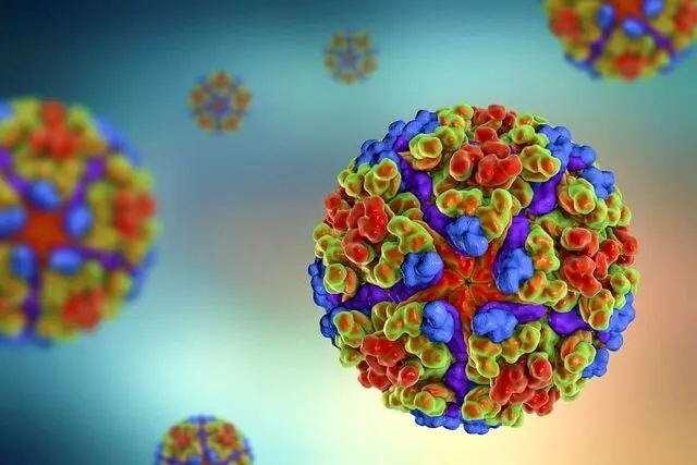 شیوع یک تب ویروسی در ۱۶ کشور