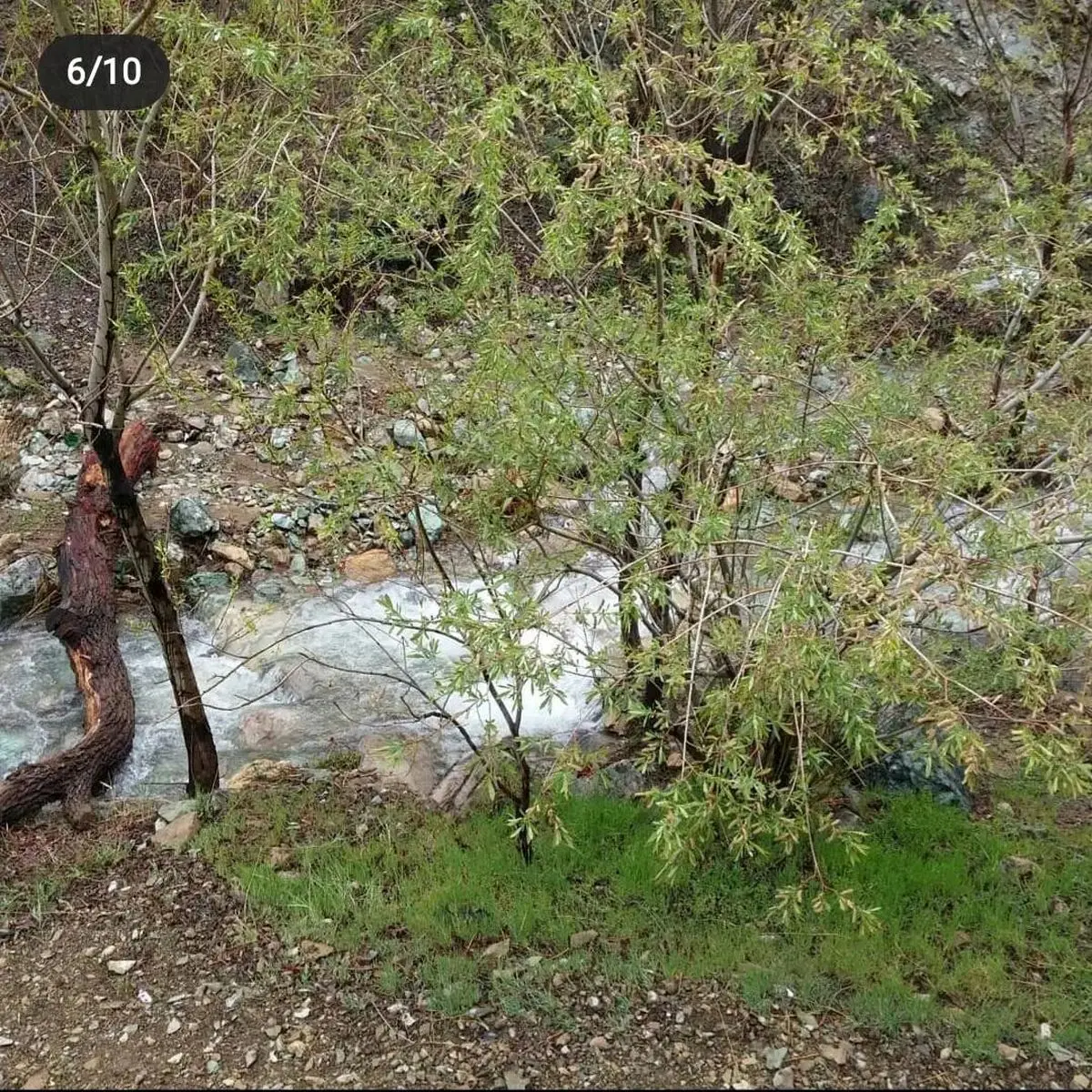 کشف جسد استاد دانشگاه در تهران