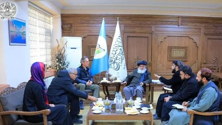 دولت،بازگشته،وطن،مهاجران