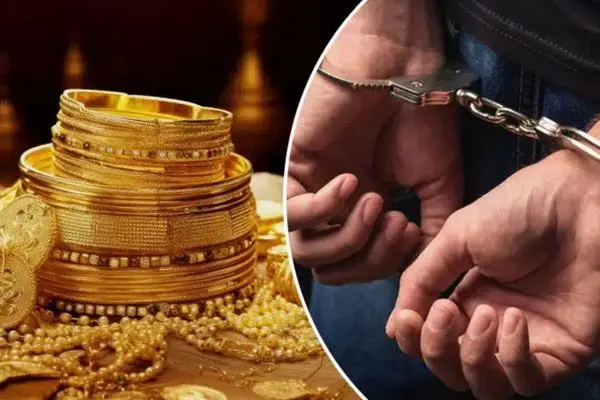 اظهار نظر پلیس درباره استفاده طلایاب برای سرقت از منازل