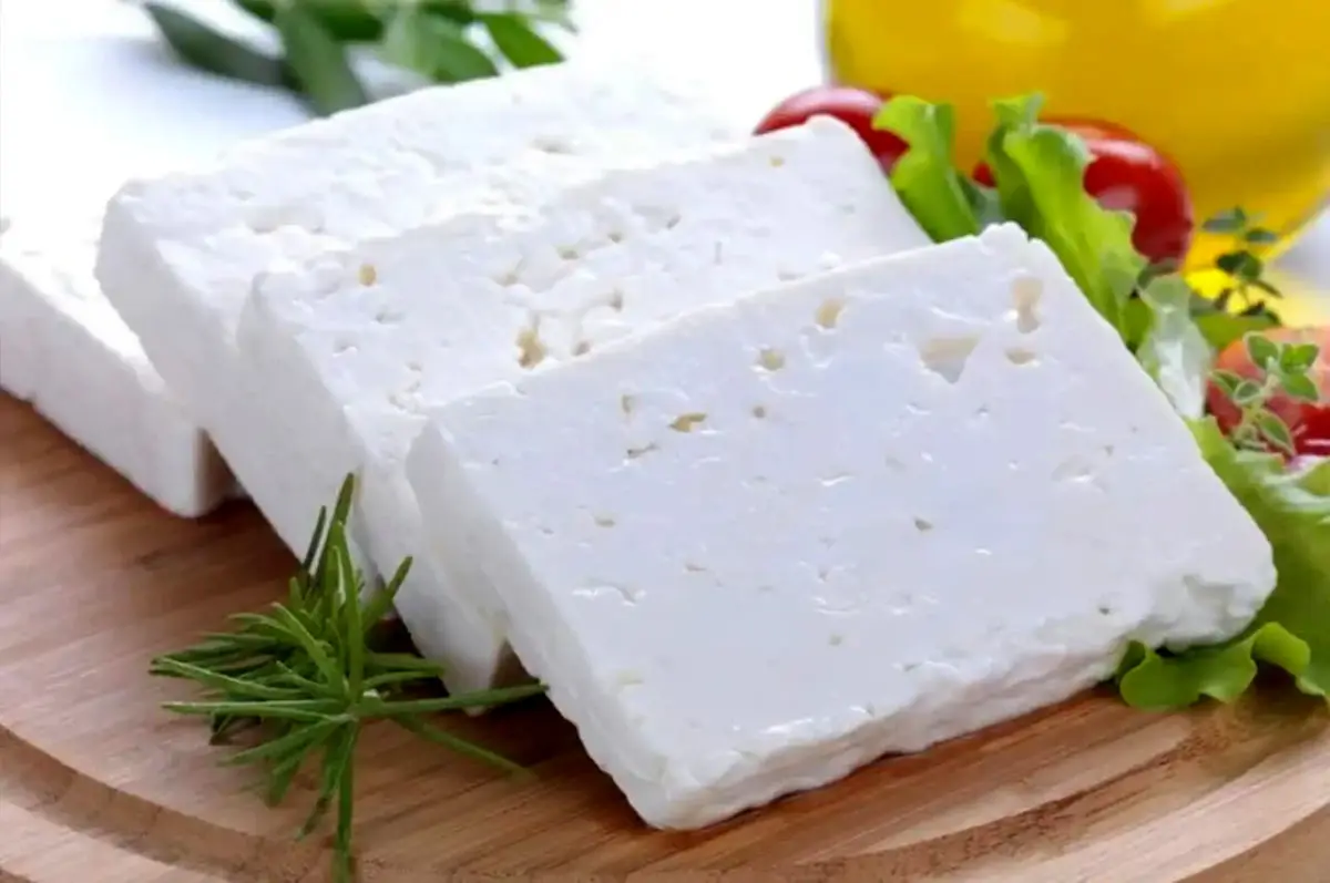 استفاده از پنیر لاکتیکی برای لاغری و کاهش وزن