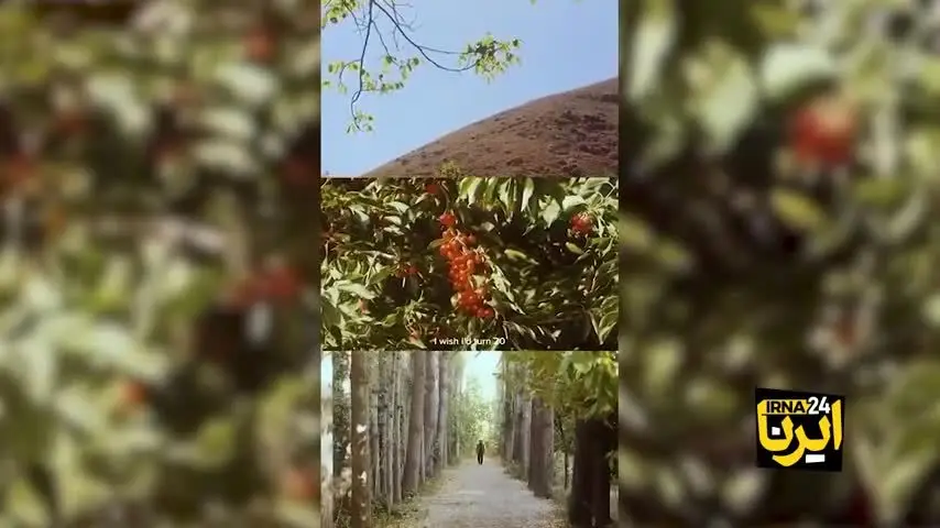 ببینید| همایون ارشادی که بود؟