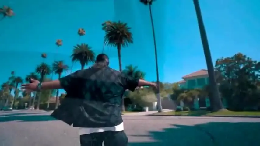 ببینید| ذوق بهنام بانی از دیدن تابلوی هالیوود در لس آنجلس