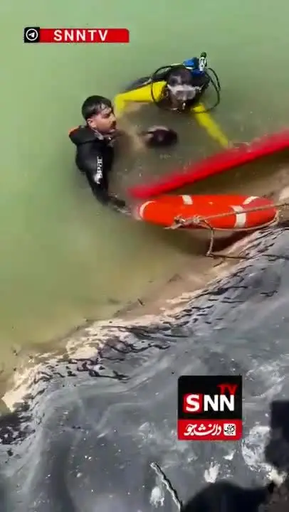 ببینید| استخر کشاورزی در خراسان شمالی باز هم قربانی گرفت