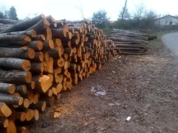 توقف ۴ نیسان و کشف ۱۰ تن چوب جنگلی قاچاق در نوشهر