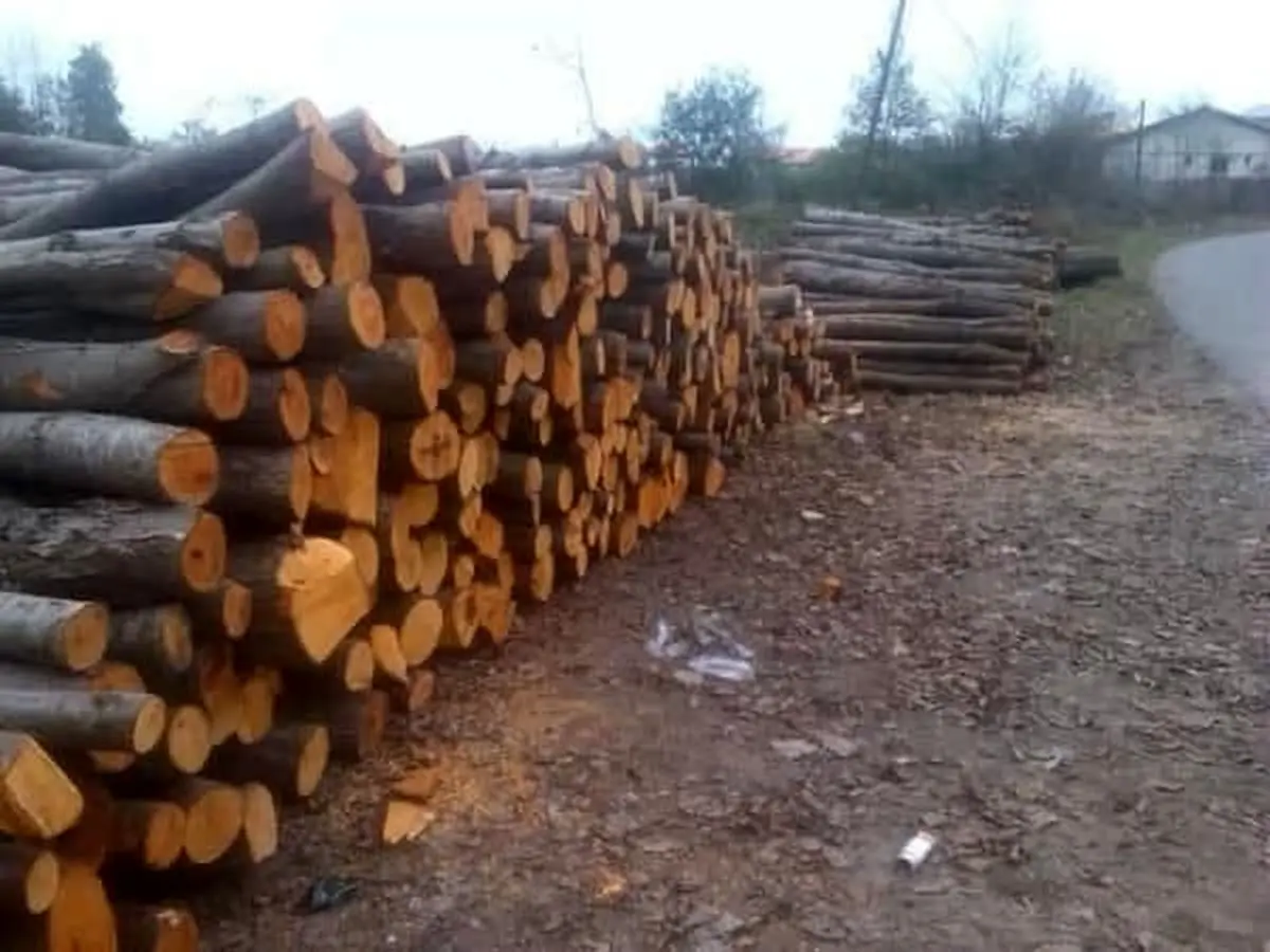 توقف ۴ نیسان و کشف ۱۰ تن چوب جنگلی قاچاق در نوشهر