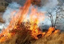 سخنگوی قوه قضائیه: آتش زدن عمدی جنگل‌ها ۳ تا ۱۰ سال حبس را به دنبال خواهد داشت