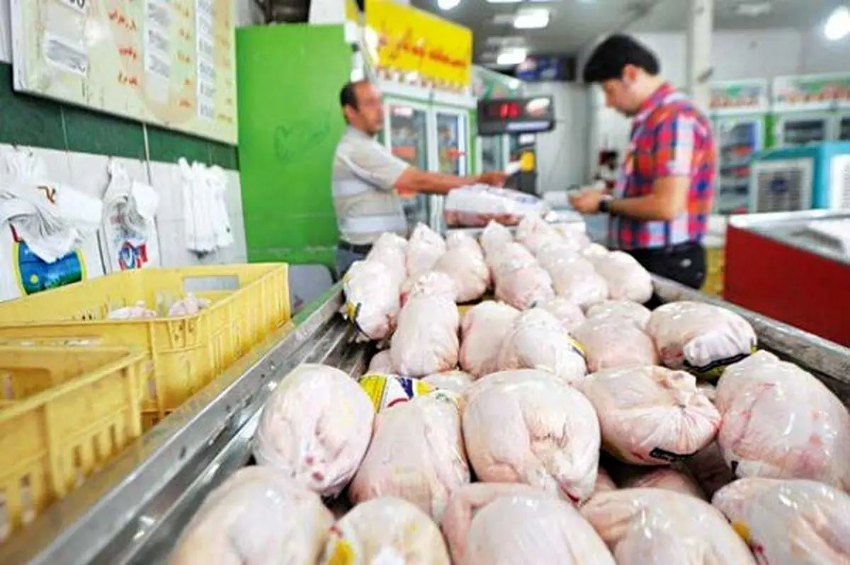 مرغ‌های گرم وارداتی در راه بازار 