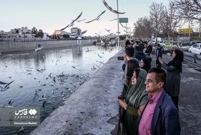 شیرازگردی مهمانان روسی