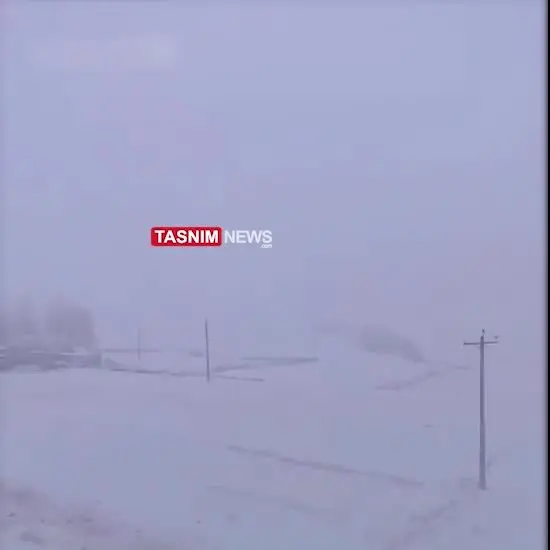 ببینید| برف این شهر کشور را سفیدپوش کرد