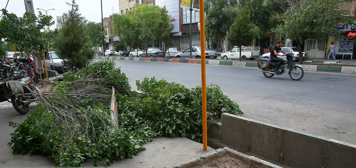 هشدار مدیریت بحران نسبت به وزش باد خیلی شدید در تهران