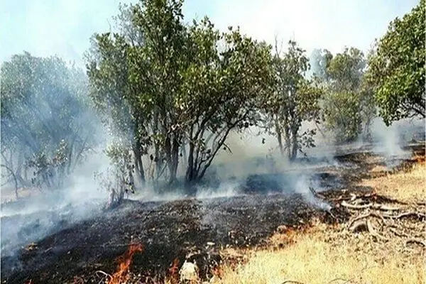 حريق،منابع،طبيعي،مهار،مربع،نيروهاي،مرزباني،تالش،گيلان