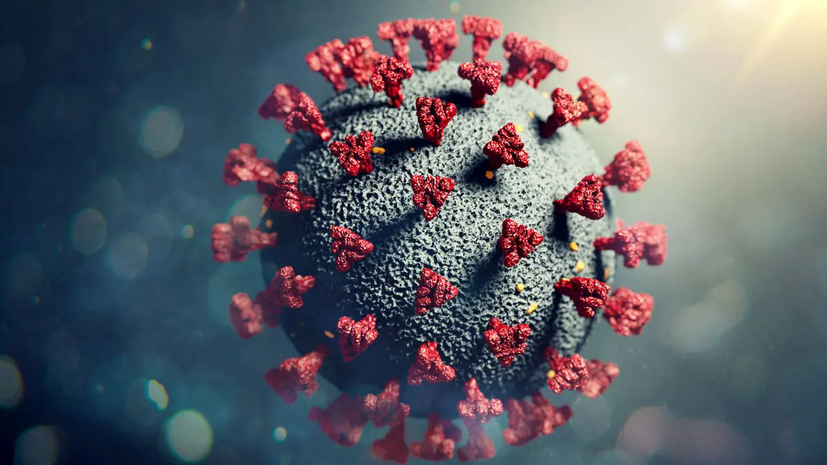 اینفوگرافی| چگونه با آنفلوآنزا مبارزه کنیم؟