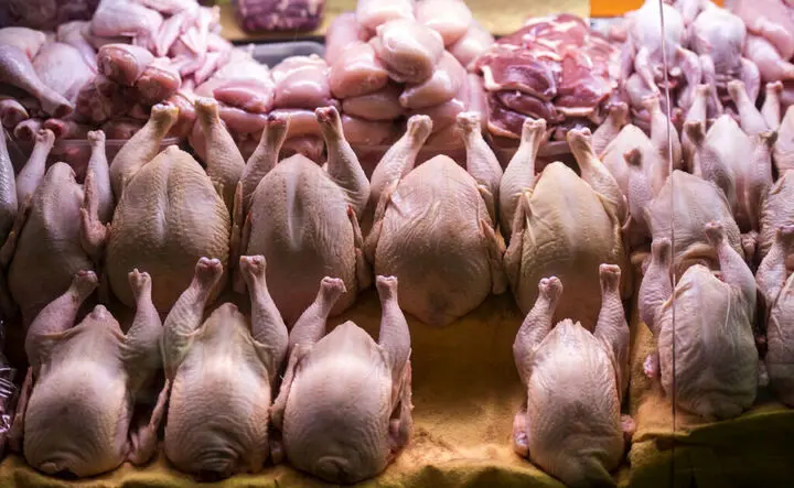 قیمت مرغ امروز چهارشنبه ۲۳ مهر ۱۴۰۴