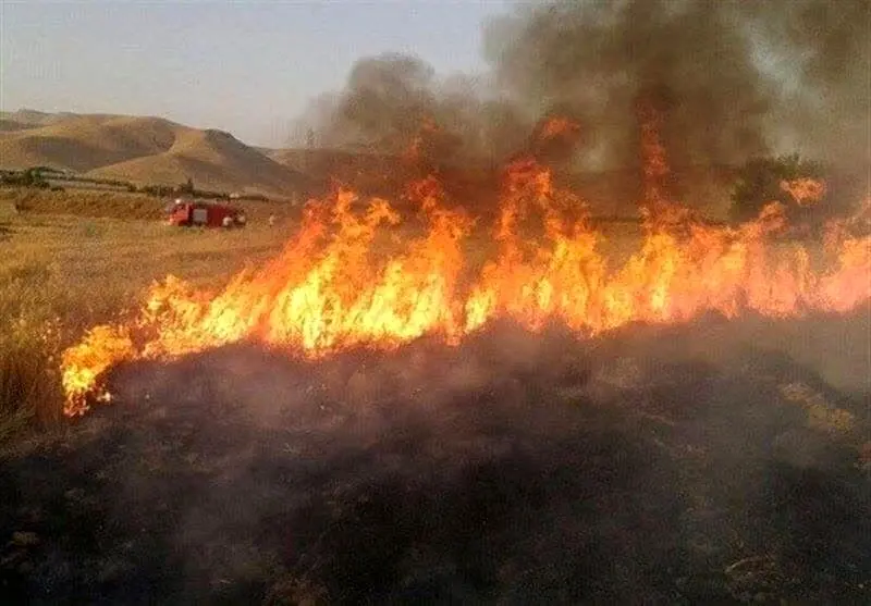 حفاظت،آتش،منطقه،قلارنگ،ايلام،سوزي،هكتار،شهرستان