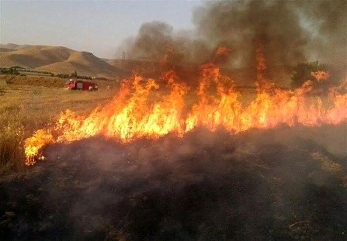 حریق در جنگل های قلارنگ ایلام