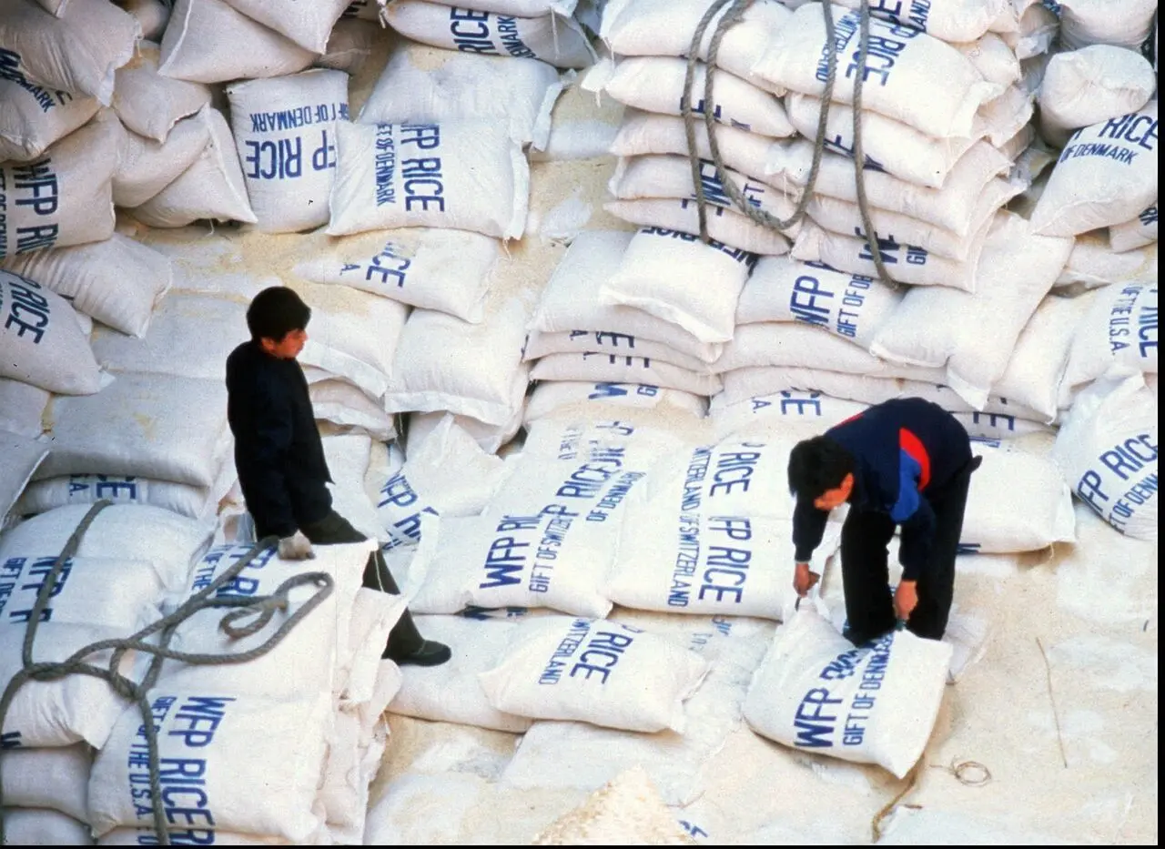 توقف کمک رسانی برنامه غذای جهانی به کره شمالی