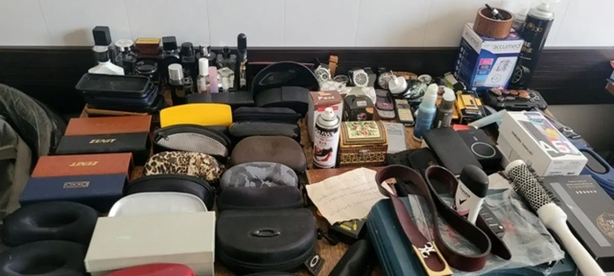 سارق حرفه‌ای به 81 خانه دستبرد زد