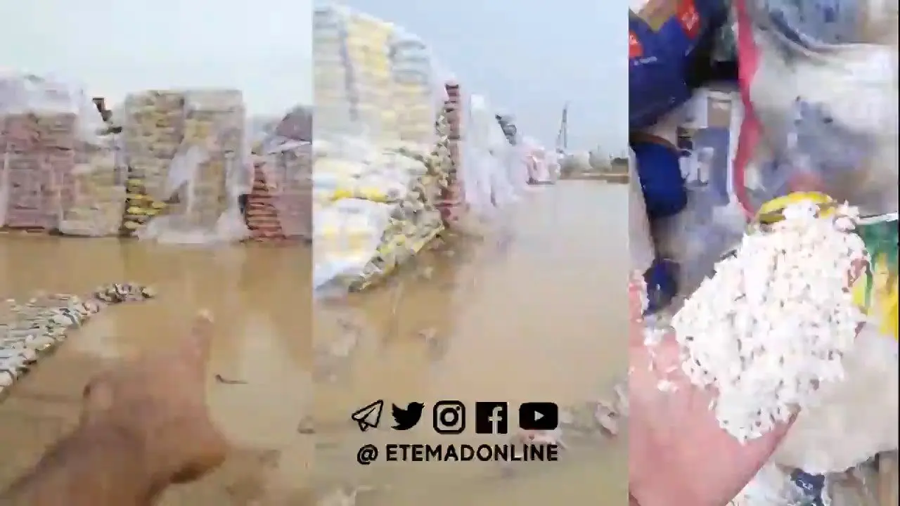 وضعیت نامناسب محموله‌های برنج در گمرک زاهدان بعد از بارندگی‌های اخیر+ ویدئو