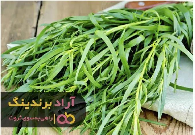 چراغ سبز برای ورود پول به زندگی ام رخ داد