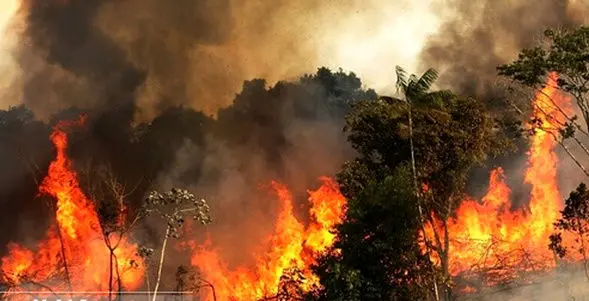 آتش سوزی ۲۵۵ هکتار از پارک ملی گلستان