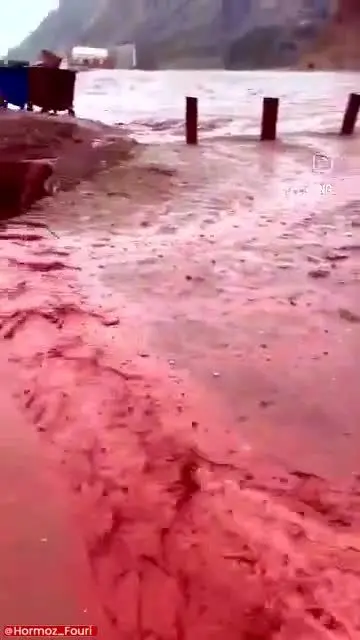 ببینید| آب دریا در جنوب ایران قرمز شد!