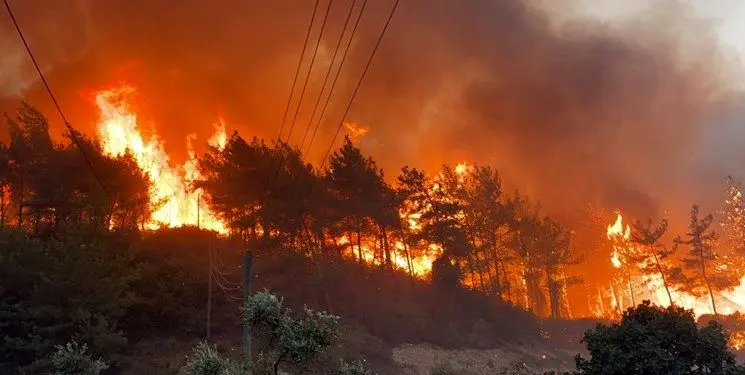 سوختن 4500 هکتار از جنگل‌های ترکیه درآتش سوزی مشکوک