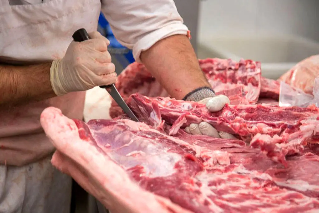 کشف ۱۹۵ کیلو گوشت اسب مریض در جهرم!؛ گوشت‌های آلوده بین مردم توزیع شد؟