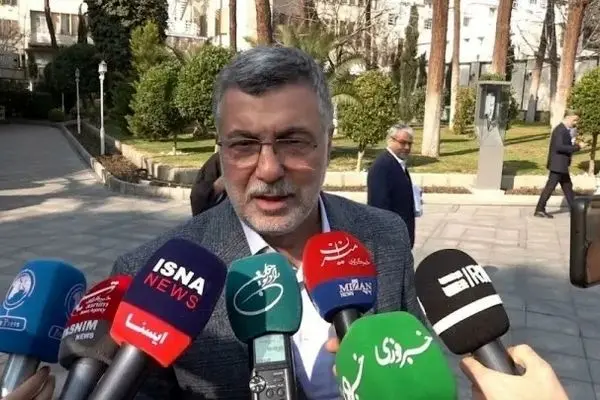 وزیر بهداشت درباره وضعیت شیوع آنفلوانزا در کشور: هنوز به ایام پیک ابتلا نرسیده‌ایم، گروه‌های پرخطر  واکسن بزنند