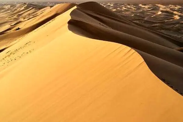 بزرگ‌ترین بیابان غیرشنی جهان کجاست؟