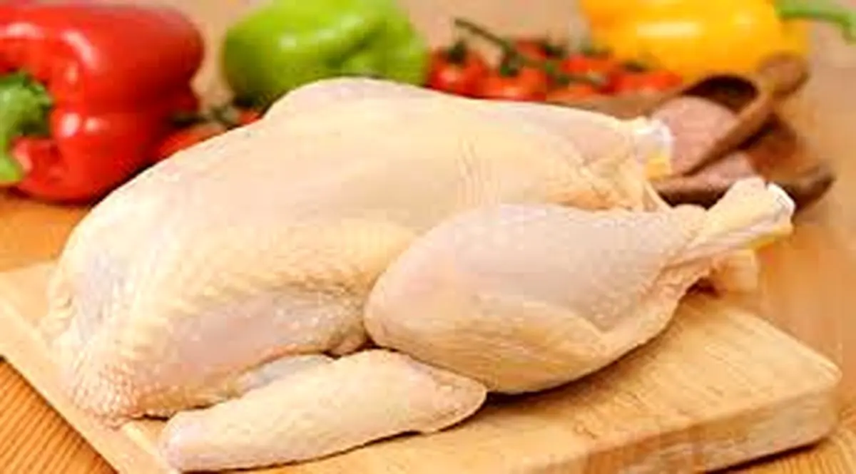 چگونه از خطرات باکتریایی مرغ خام دوری کنیم؟