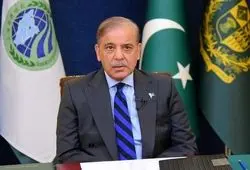 شهباز شریف با اردوغان دیدار کرد