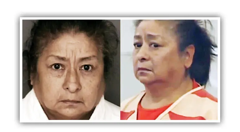 نوزاد،زباله،سطل،رها