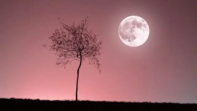 زیباترین «ماه» سال را امشب ببینید؛ از ماه صورتی چه می‌دانید؟