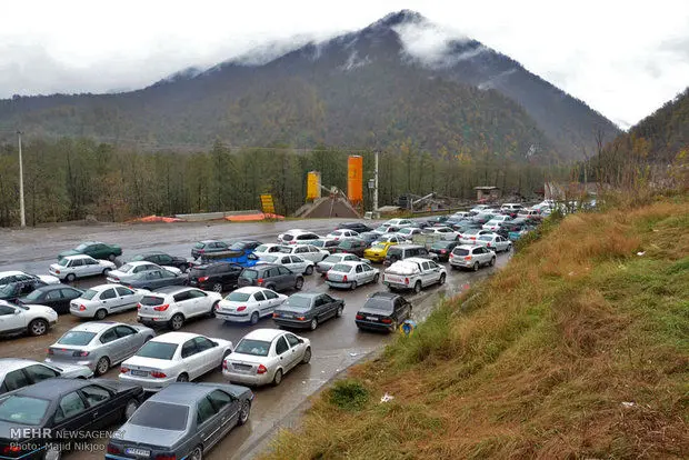 گزنك،پلور،راهور