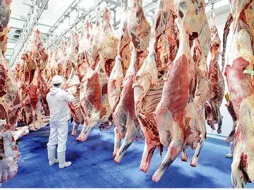اینفوگرافیک| افزایش عجیب و غریب قیمت گوشت گوساله طی یک سال؛ ۲۴۰ هزار تومان کجا و ۷۵۰ هزار تومان کجا!