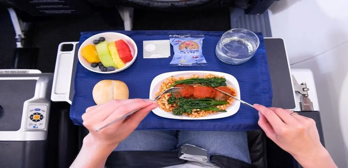 عصبانیت مسافر از منوی غذای هواپیما باعث تغییر جهت پرواز شد