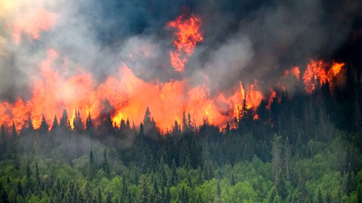 آتش سوزی وسیع در جنگل‌های ترکیه
