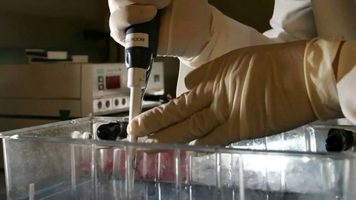 دانشمندان ژاپنی باکتری قاتل سرطان را کشف کردند