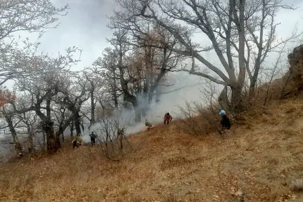 ادامه عملیات مهار حریق گسترده در جنگل‌های چالوس/ اعزام ۱۷ تیم امدادی و ۶۴ نیروی عملیاتی