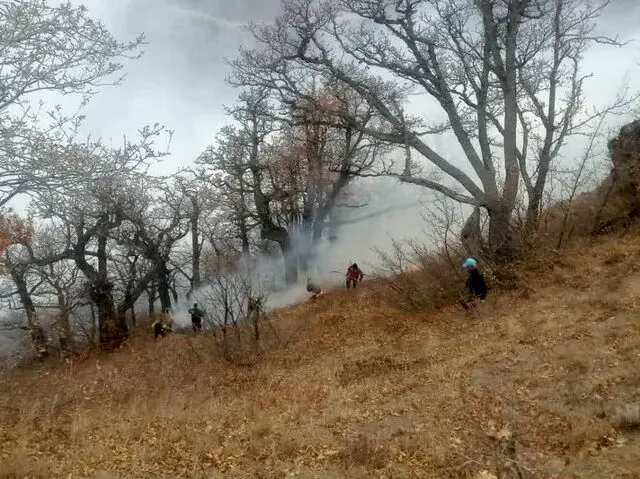 ادامه عملیات مهار حریق گسترده در جنگل‌های چالوس/ اعزام ۱۷ تیم امدادی و ۶۴ نیروی عملیاتی