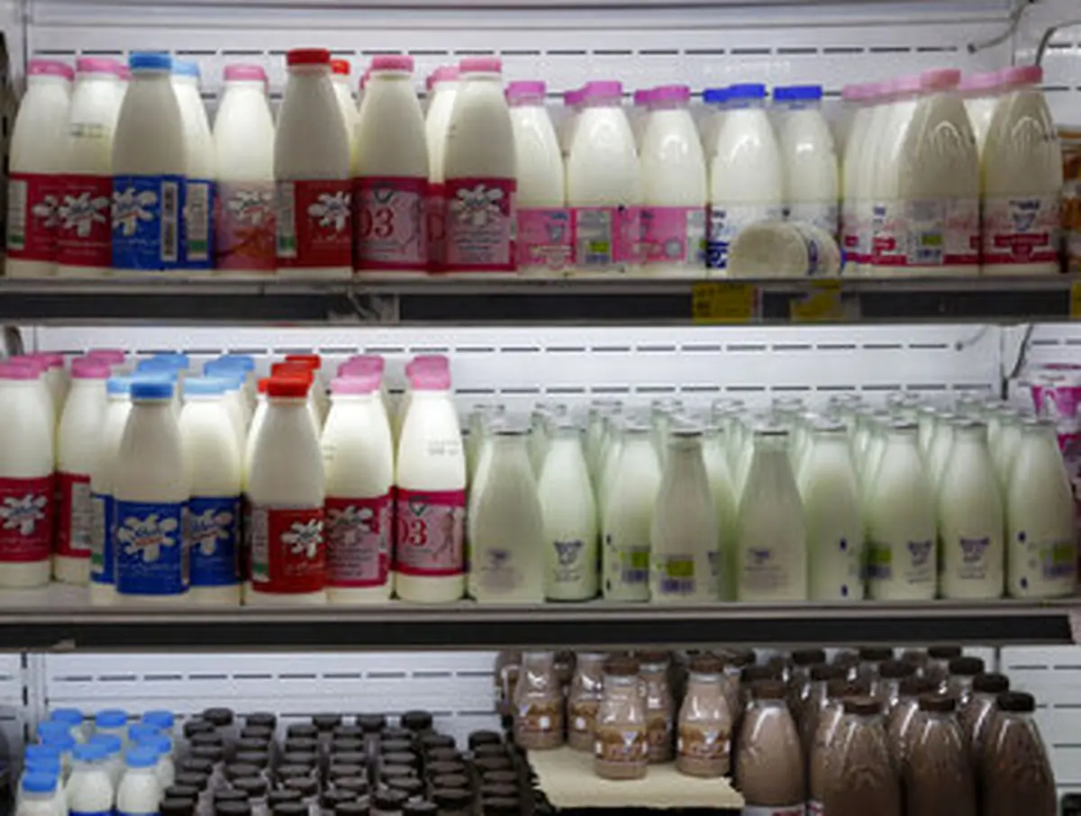 ادامه روند افزایشی قیمت آزاد شیر