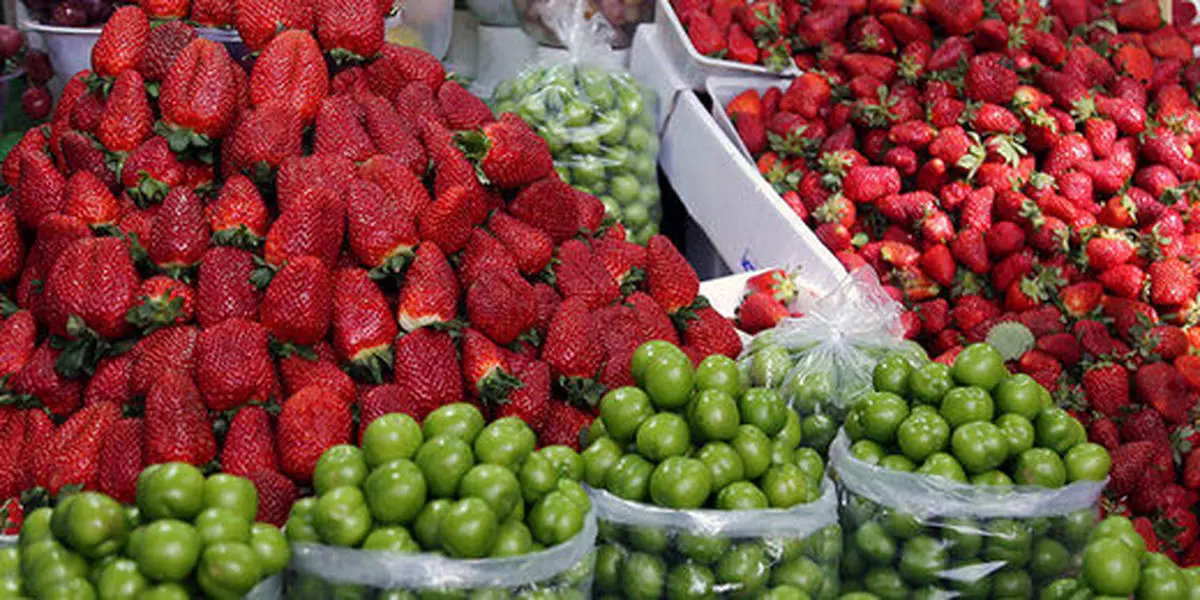 توت فرنگی محبوب‌ترین میوه‌ ایرانی